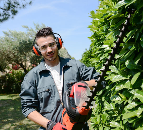 extérieur jardinage