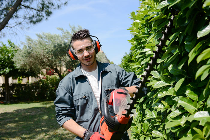 Entretien du jardin, tonte de pelouse, taille de haie